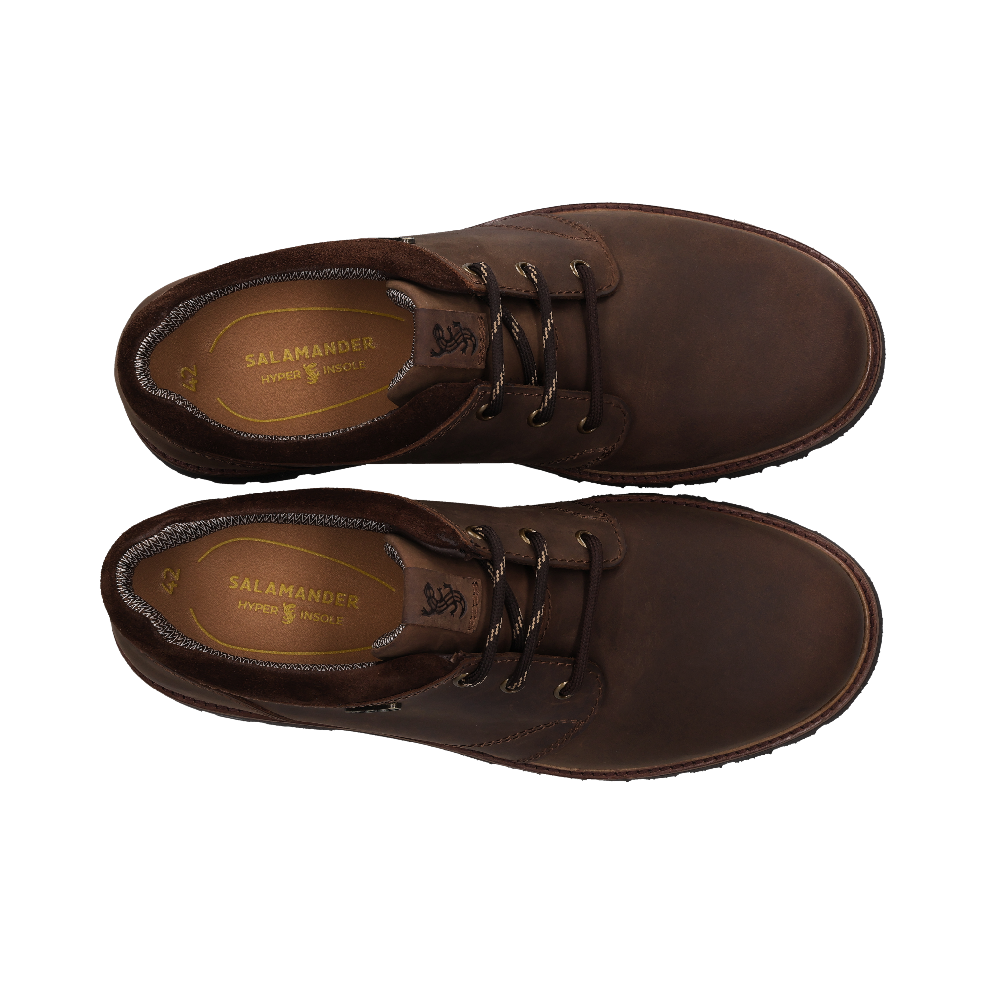 SALAMANDER Lace Shoe – Dark Brown