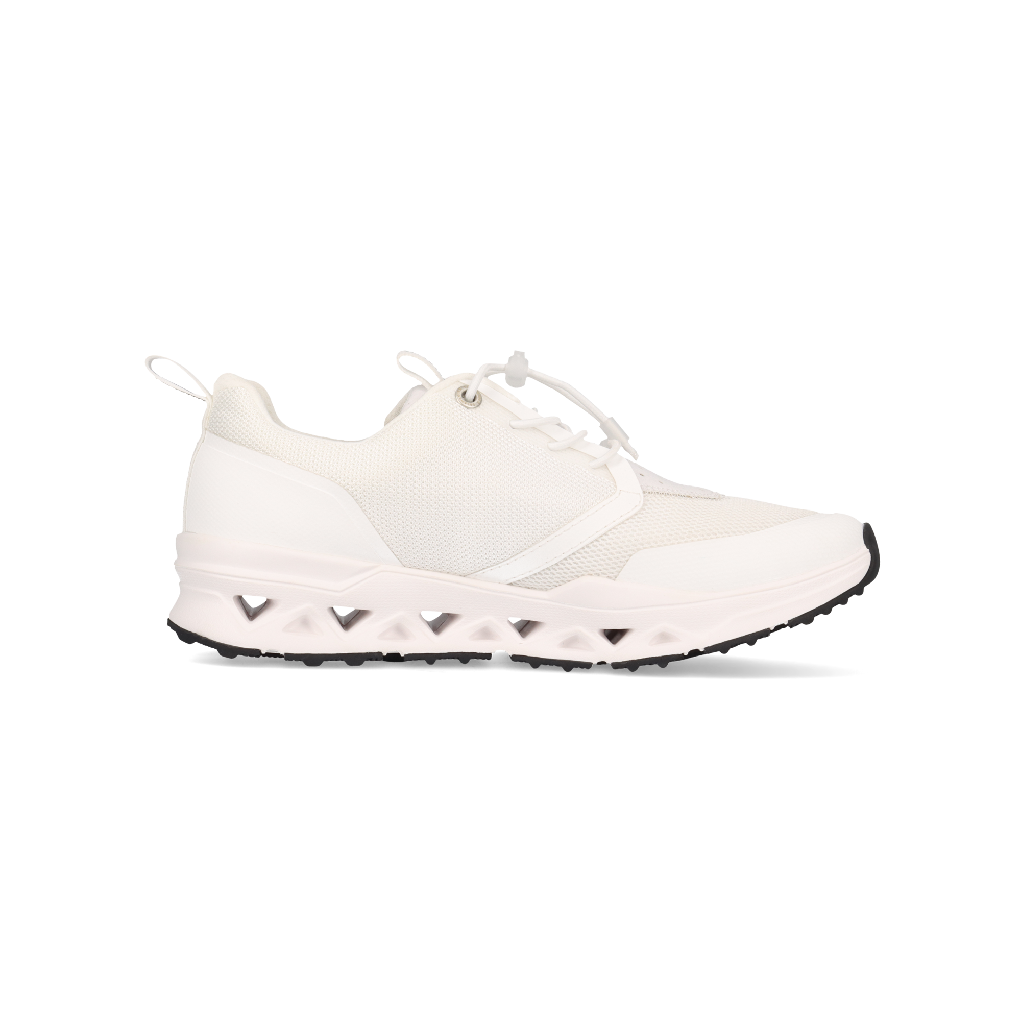 SALAMANDER Sneaker – White/White