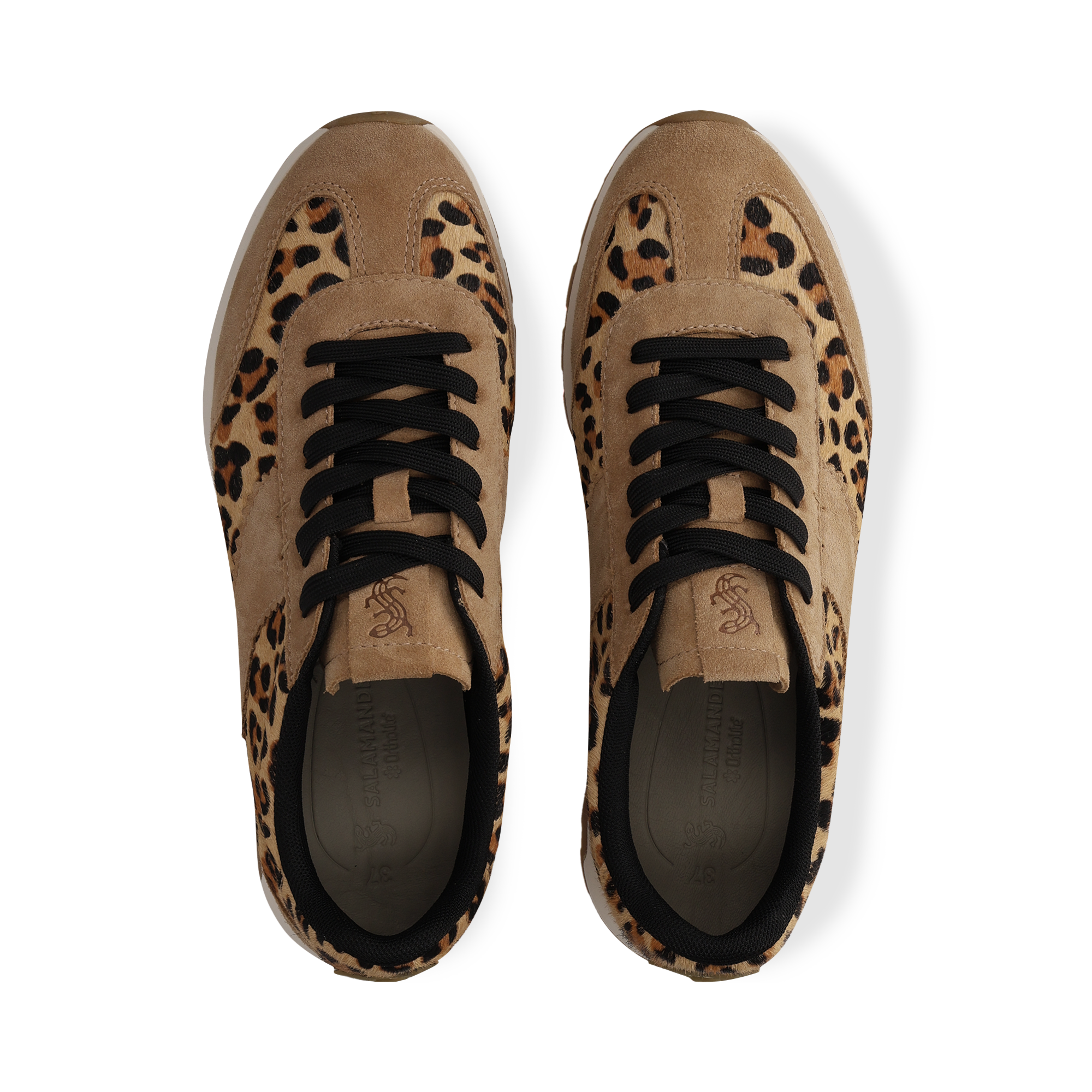 SALAMANDER Sneaker – Mid-Brown/Animal Print